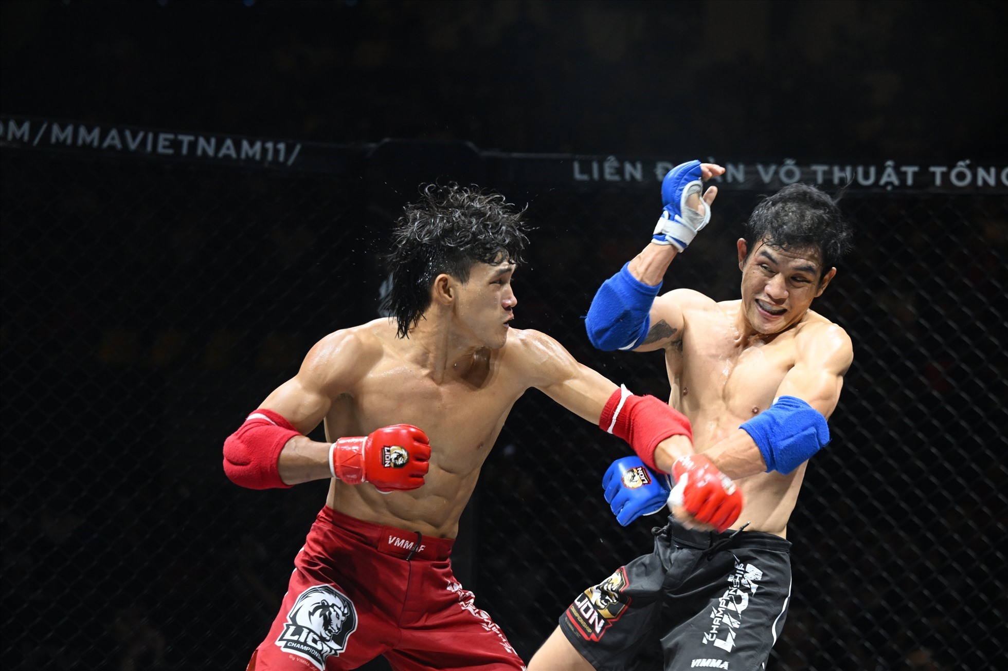 Thông tin chi tiết về giải đấu